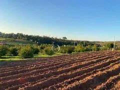 Fazenda / Sítio / Chácara com 5 Quartos à venda, 200m² no Reforma Agraria, Valinhos - Foto 12