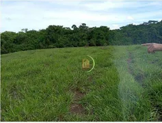 Fazenda / Sítio / Chácara à venda, 2492600m² no Zona Rural, Luziânia - Foto 2