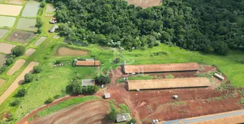 Fazenda / Sítio / Chácara à venda, 42000m² no Zona Rural, Cascavel - Foto 5