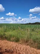 Fazenda / Sítio / Chácara com 2 Quartos à venda, 4000000m² no Zona Rural, Pompéu - Foto 2