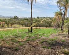 Terreno / Lote Comercial à venda no COLMEIA, Jaguariúna - Foto 14