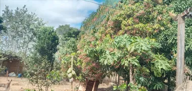 Fazenda / Sítio / Chácara com 3 Quartos à venda, 30000m² no Area Rural de Santo Antonio do Descoberto, Santo Antônio do Descoberto - Foto 9