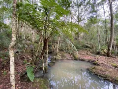 Fazenda / Sítio / Chácara com 1 Quarto à venda, 100m² no Ratones, Florianópolis - Foto 14