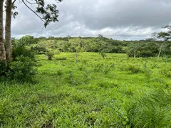 Fazenda / Sítio / Chácara com 5 Quartos à venda, 100m² no Zona Rural, Nossa Senhora do Livramento - Foto 12