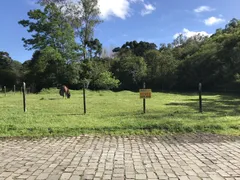 Terreno / Lote Comercial à venda no Desvio Rizzo, Caxias do Sul - Foto 1