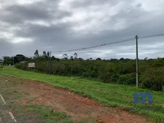 Terreno / Lote Comercial à venda, 7200m² no , Balneário Piçarras - Foto 4