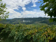 Terreno / Lote / Condomínio à venda no Centro, Monte Belo do Sul - Foto 14