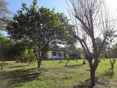 Fazenda / Sítio / Chácara com 3 Quartos à venda, 90m² no Passo da Areia, Viamão - Foto 6