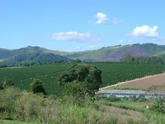 Fazenda / Sítio / Chácara com 4 Quartos à venda, 5000m² no Zona Rural, Serra Negra - Foto 11