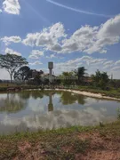 Fazenda / Sítio / Chácara à venda, 220m² no Centro, Tanabi - Foto 3