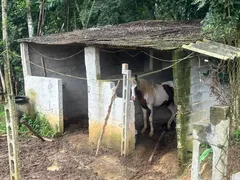 Fazenda / Sítio / Chácara com 8 Quartos à venda, 500m² no Parelheiros, São Paulo - Foto 33