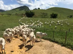 Fazenda / Sítio / Chácara com 3 Quartos à venda, 300m² no Volta do Piao, Teresópolis - Foto 5