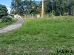 Terreno / Lote / Condomínio à venda, 15483m² no Salto do Norte, Blumenau - Foto 7