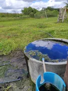 Fazenda / Sítio / Chácara com 3 Quartos à venda, 5000m² no Zona Rural, Monte Alegre - Foto 2