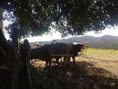 Fazenda / Sítio / Chácara com 2 Quartos à venda, 140m² no Lopes, Valinhos - Foto 114