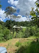 Fazenda / Sítio / Chácara com 3 Quartos à venda, 50000m² no Cachoeira, Santa Isabel - Foto 16
