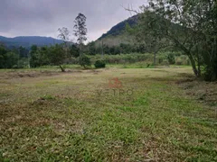 Fazenda / Sítio / Chácara à venda, 20000m² no Varzea Grande, Gramado - Foto 4