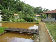 Fazenda / Sítio / Chácara com 3 Quartos à venda, 10000m² no Ipiabas, Barra do Piraí - Foto 20