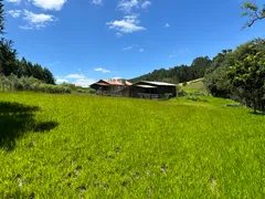 Fazenda / Sítio / Chácara com 2 Quartos à venda, 30000m² no Zona Rural, Campo Alegre - Foto 5