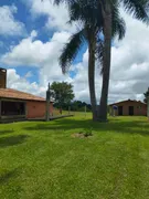 Fazenda / Sítio / Chácara com 2 Quartos à venda, 23000m² no Faxina, São José dos Pinhais - Foto 6