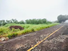 Terreno / Lote Comercial à venda no São Jorge, Novo Hamburgo - Foto 2