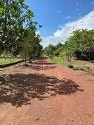 Fazenda / Sítio / Chácara com 3 Quartos à venda, 150m² no Zona Rural, Anápolis - Foto 34