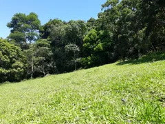 Fazenda / Sítio / Chácara à venda, 133100m² no Capela de São Pedro, Vargem Grande Paulista - Foto 1