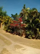 Fazenda / Sítio / Chácara com 3 Quartos à venda, 400m² no Parque Varanguera, São Roque - Foto 3