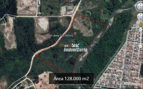 Terreno / Lote Comercial à venda, 128000m² no Thomaz Coelho, Araucária - Foto 13