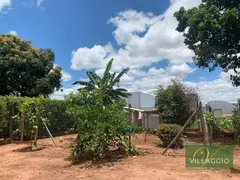 Fazenda / Sítio / Chácara com 3 Quartos à venda, 250m² no , Monte Alto - Foto 23