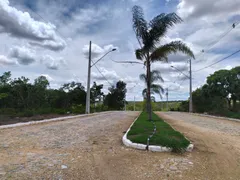 Terreno / Lote / Condomínio à venda, 1000m² no Centro, Jequitibá - Foto 2