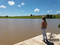 Fazenda / Sítio / Chácara com 7 Quartos à venda, 320m² no Zona Rural, Bela Vista de Goiás - Foto 18