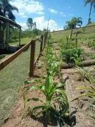 Fazenda / Sítio / Chácara com 2 Quartos à venda, 140m² no , Anitápolis - Foto 9