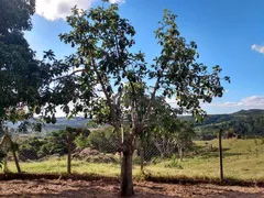 Fazenda / Sítio / Chácara com 2 Quartos à venda, 140m² no Lopes, Valinhos - Foto 50