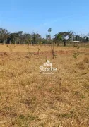 Fazenda / Sítio / Chácara à venda, 1000m² no , Campo Florido - Foto 4