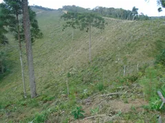 Fazenda / Sítio / Chácara com 2 Quartos à venda, 2213440m² no , Tunas do Paraná - Foto 6