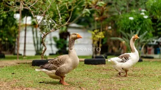 Fazenda / Sítio / Chácara com 3 Quartos à venda, 150m² no Zona Rural, Anápolis - Foto 10