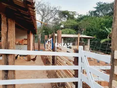 Fazenda / Sítio / Chácara com 7 Quartos à venda, 4000m² no Zona Rural, Igarapé - Foto 23