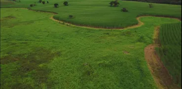 Fazenda / Sítio / Chácara com 2 Quartos à venda, 65m² no Zona Rural, Quadra - Foto 31