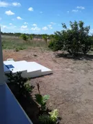 Fazenda / Sítio / Chácara com 3 Quartos à venda, 3000m² no Centro, Ceará Mirim - Foto 5