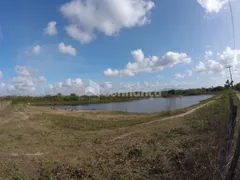 Fazenda / Sítio / Chácara com 3 Quartos à venda, 360000m² no Genipabú, Caucaia - Foto 3