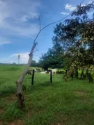 Fazenda / Sítio / Chácara com 2 Quartos à venda, 1340000m² no Zona Rural, Poconé - Foto 9