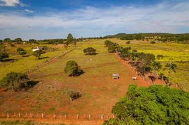 Fazenda / Sítio / Chácara com 3 Quartos à venda, 300m² no Zona Rural, Luziânia - Foto 38
