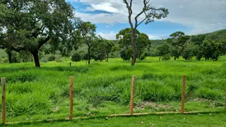 Fazenda / Sítio / Chácara com 3 Quartos à venda, 1984000m² no Nossa Senhora Aparecida, Uberlândia - Foto 6