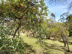 Fazenda / Sítio / Chácara com 4 Quartos à venda, 20000m² no Saboó, São Roque - Foto 13