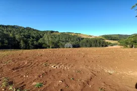Fazenda / Sítio / Chácara à venda, 30000m² no Zona Rural, Pato Branco - Foto 14