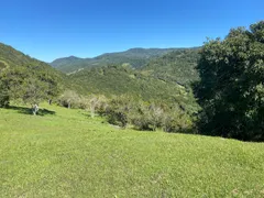 Terreno / Lote / Condomínio à venda, 2000m² no Morrinhos, Garopaba - Foto 6