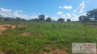 Fazenda / Sítio / Chácara com 4 Quartos à venda, 168m² no Zona Rural, Vila Propício - Foto 23