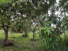 Fazenda / Sítio / Chácara com 2 Quartos à venda, 1362m² no Parque Residencial Maria Elmira , Caçapava - Foto 8