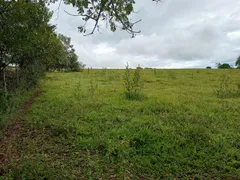 Fazenda / Sítio / Chácara com 2 Quartos à venda, 96800m² no Zona Rural, Altinópolis - Foto 4